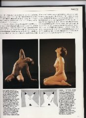 p2a.jpg