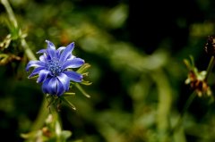 DSC_01830001.jpg