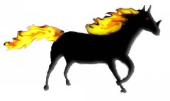 pferd .jpg