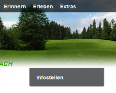 Bild2 (IE7).PNG