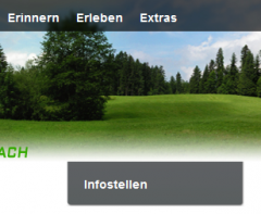 Bild3 (IE6).PNG
