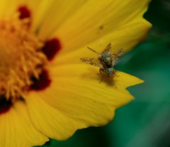 DSC_0476_bs.jpg
