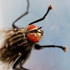 DSC_0734_bs.jpg