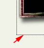 bug.jpg
