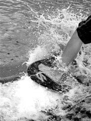 IMG_0113_2.JPG