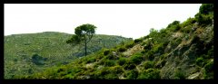 DSC03480.jpg