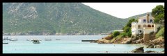DSC03498.jpg