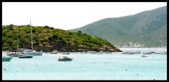 DSC03500.jpg