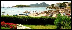 DSC03496.jpg