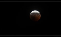 20080817131306_hdr_80prozent_mondfinsternis_(c)_bernhard_plank[1].jpg