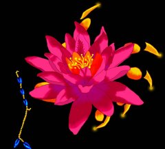 hand lotus dunkel.jpg