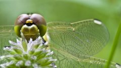 IMG_1696_PS_16_9 copy_filtered_©_Bernhard_Plank-1.jpg