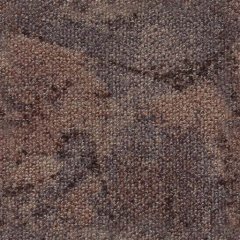 carpet02.jpg