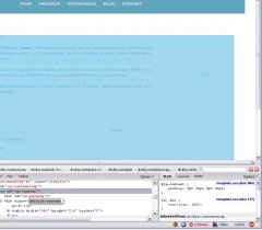 firebug_1.jpg