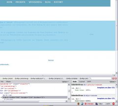 firebug_2.jpg