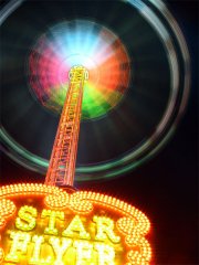 SS854733.jpg