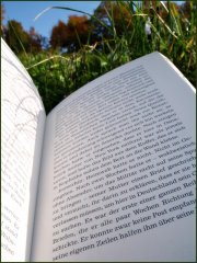 Wiese+Buch edit web.jpg