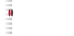 Bild 1.png