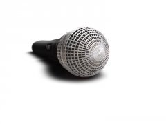 mic2.jpg