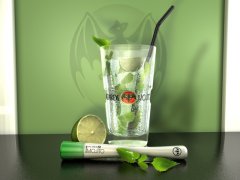 Bacardi Mojito MWSOFT-Med 800x600.jpg