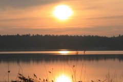 see2.JPG