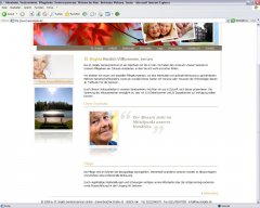 ie6.jpg