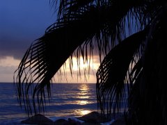 sunset.jpg