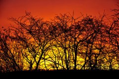 Sonnenaufgang 2.jpg