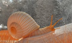 schnecke--shadet-wire.jpg