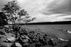 lochness_1024er.jpg