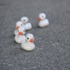 enten_klein.jpg