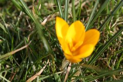 IMG_1224.jpg