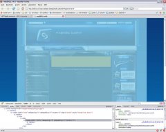 firebug.jpg