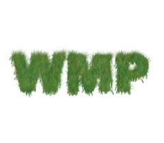WMP.jpg
