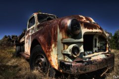 Dodge 1000.jpg