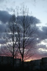 IMG_0682.jpg