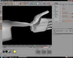 hand.jpg