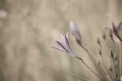 IMG_3169.jpg