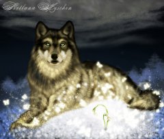 wolk.jpg