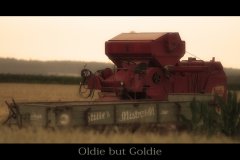 oldieforum.jpg