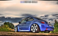 beetle_wallpaper_1280.jpg