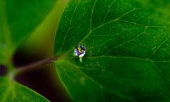 Wassertropfen.jpg