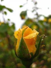 img_0019.jpg