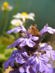 DSCF4513 800x600.jpg
