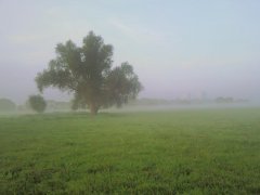 Foto163.jpg