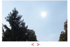 screenshot009.jpg