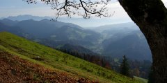 DSC00993.jpg