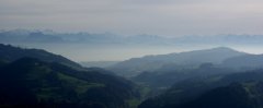 DSC00996.jpg