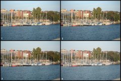 IMG_0146_Montage.jpg