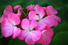 IMG_3047.jpg